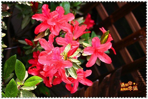 ��Ƭ 052_����.jpg