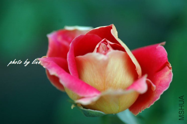 DSC_3249.jpg