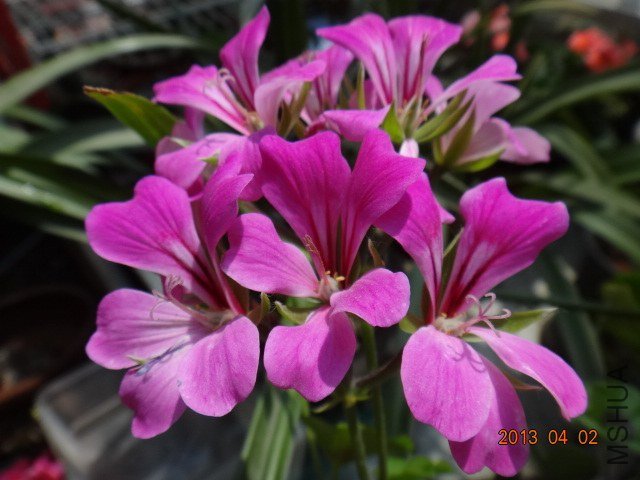 DSC02622.JPG