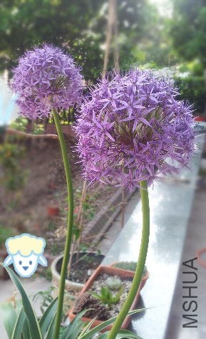 �������� ��ͼ���� �ð� �ҳ����Ҽ�������