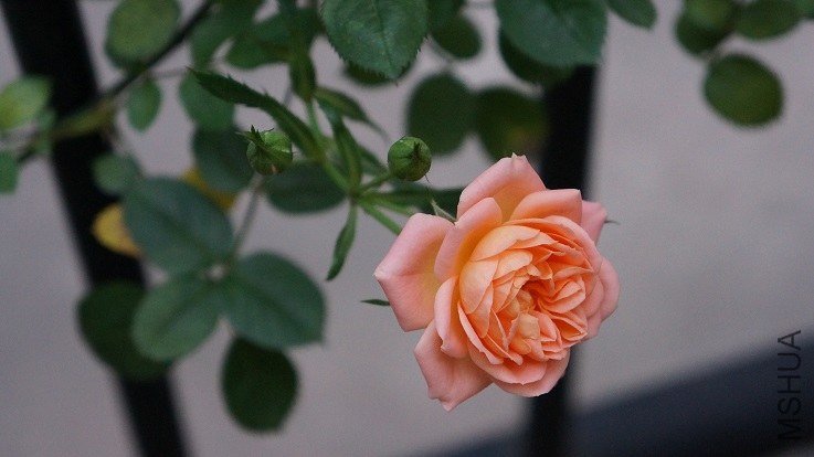 ���Ǵ�ͷ�գ���ʵ���Ļ���С��