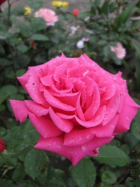 ��Ƭ 053.jpg