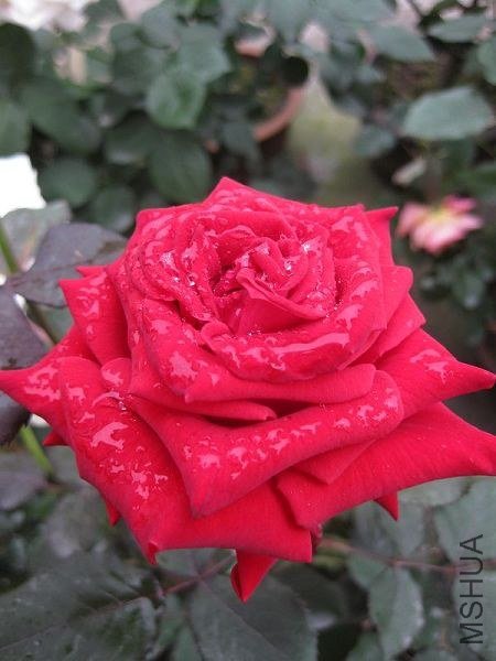 ��Ƭ 055.jpg