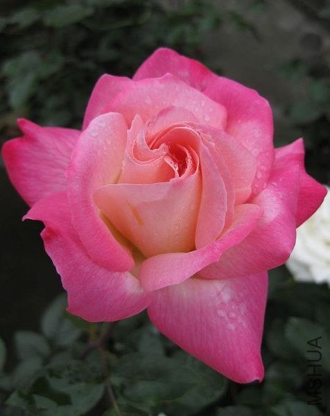 ��Ƭ 057.jpg