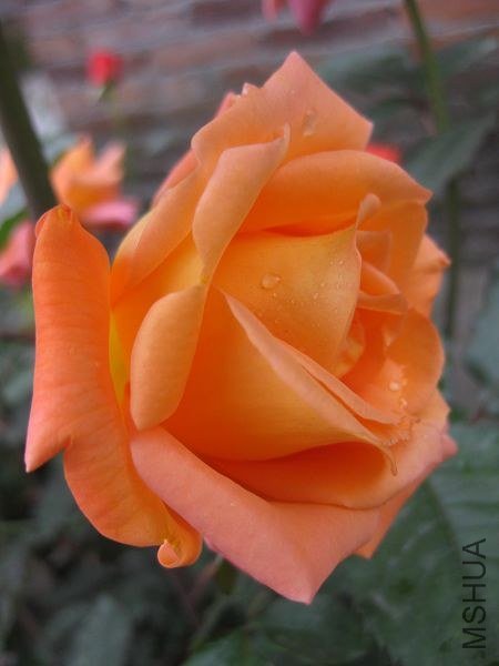 ��Ƭ 058.jpg