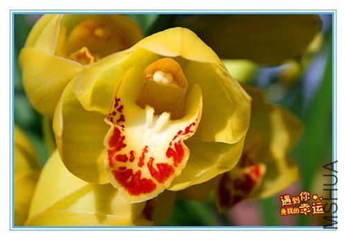 ��Ƭ 019_����.jpg