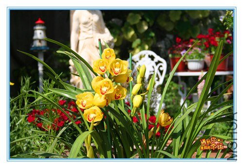 ��Ƭ 014_����.jpg