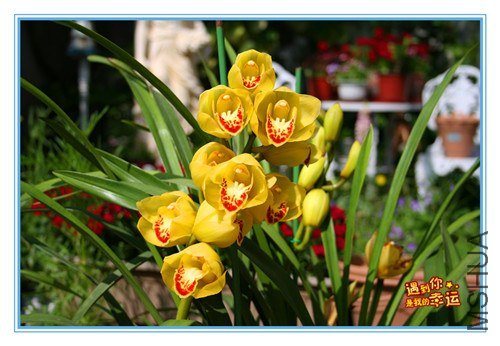 ��Ƭ 015_����.jpg