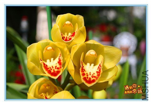 ��Ƭ 016_����.jpg