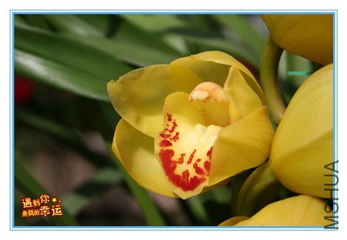 ��Ƭ 017_����.jpg