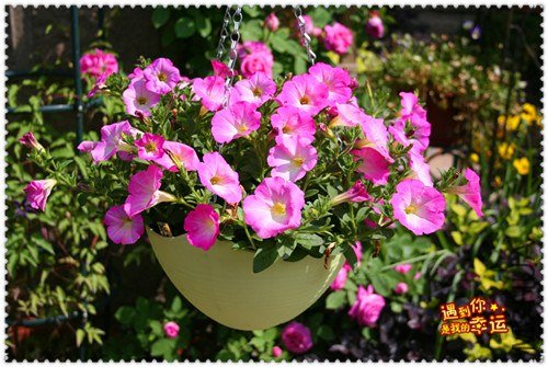 ��Ƭ 023_����.jpg