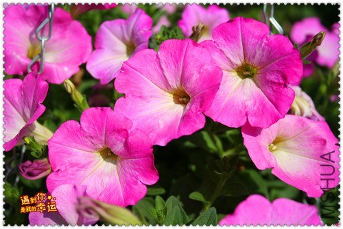 ��Ƭ 027_����.jpg