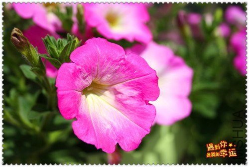 ��Ƭ 031_����.jpg