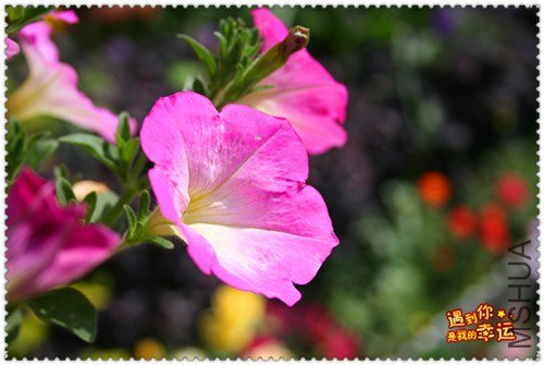 ��Ƭ 032_����.jpg