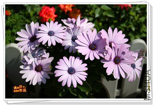 ��Ƭ 039_����.jpg