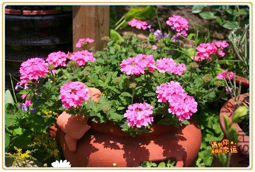 ��Ƭ 051_����.jpg