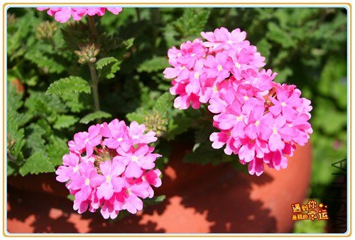 ��Ƭ 054_����.jpg