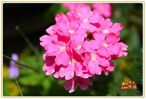 ��Ƭ 057_����.jpg