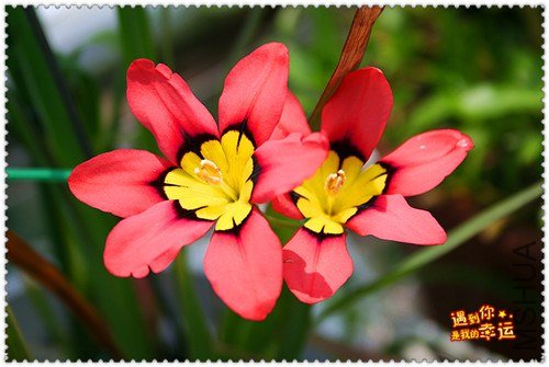 ��Ƭ 094_����.jpg