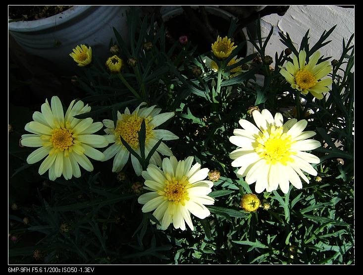 PICT7657.jpg