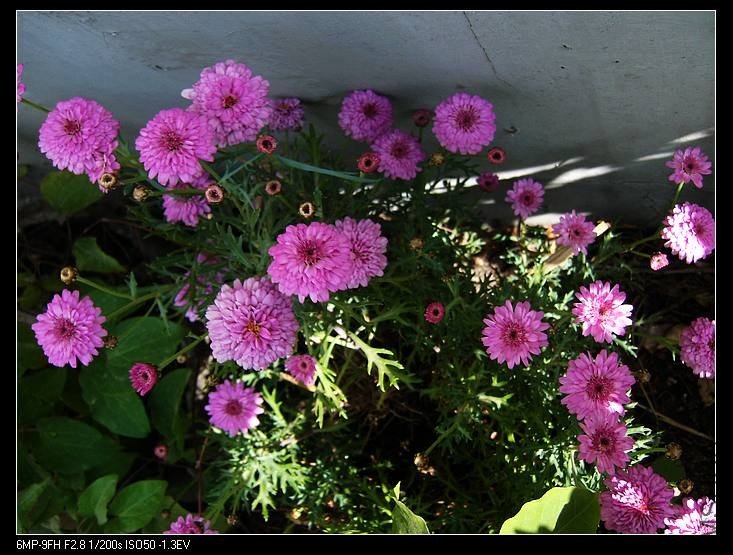 PICT7659.jpg