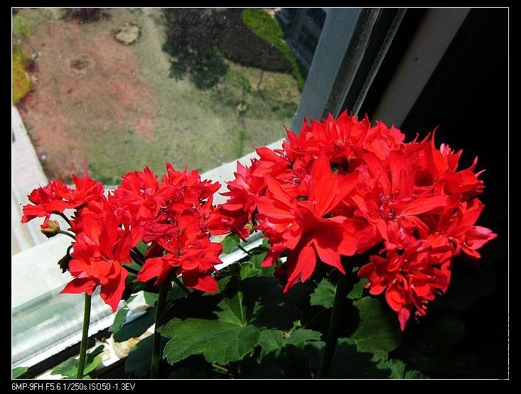 PICT7670.jpg