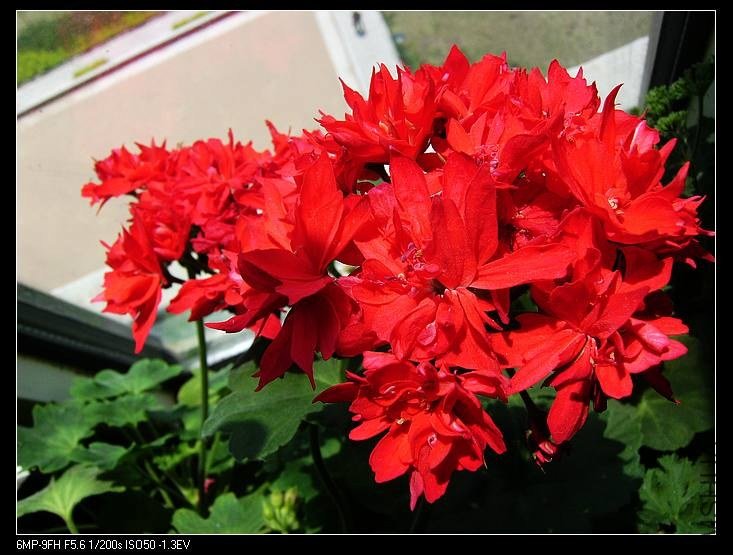 PICT7672.jpg