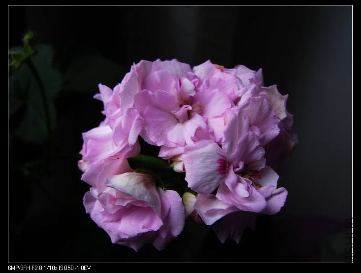 PICT7678.jpg