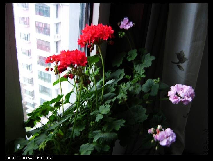 PICT7683.jpg