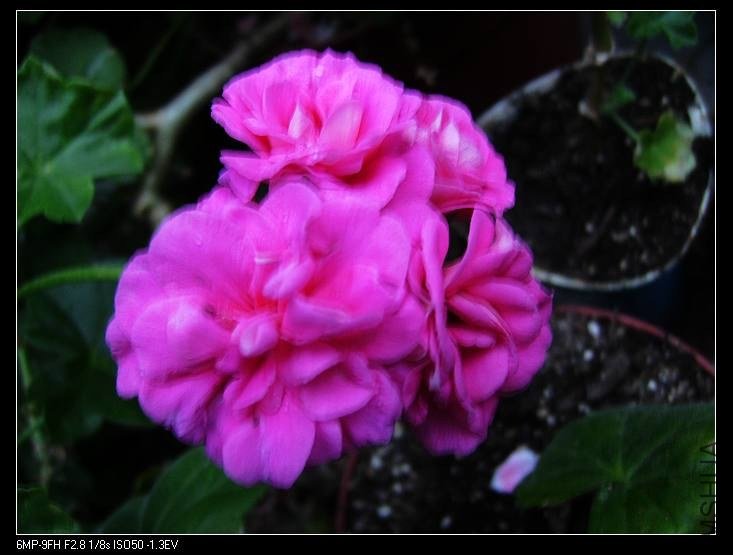 PICT7687.jpg