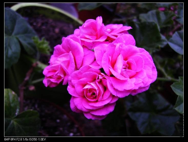 PICT7693.jpg