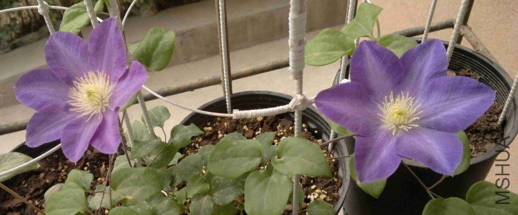 2013-05-03-509.jpg