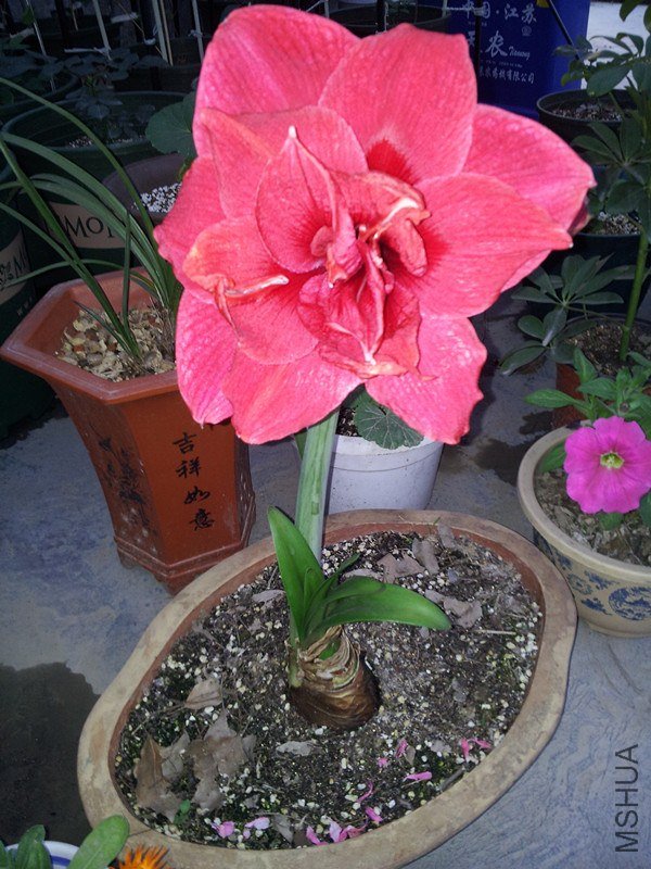 20130427_180856_����.jpg