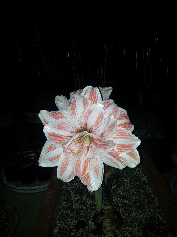 20130502_194828_����.jpg