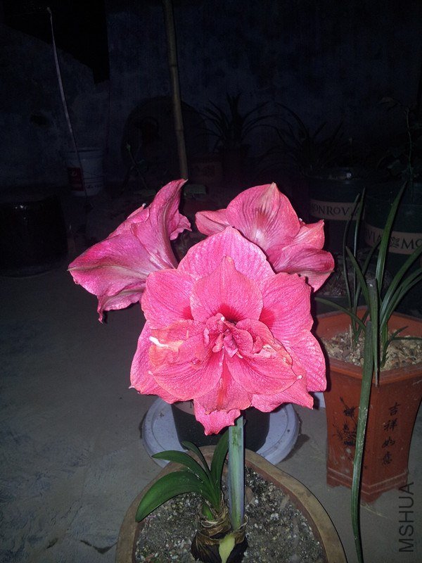 ����ǿ��˼�������ĵ��е���ɫ��