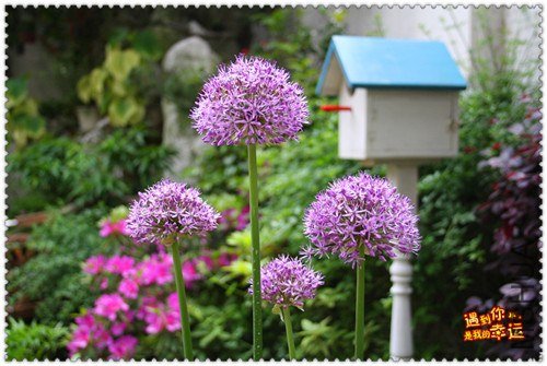 ��Ƭ 024_����.jpg