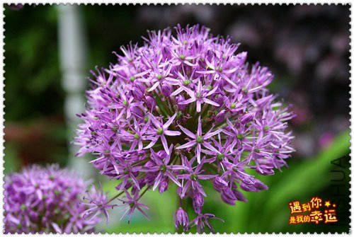 ��Ƭ 030_����.jpg