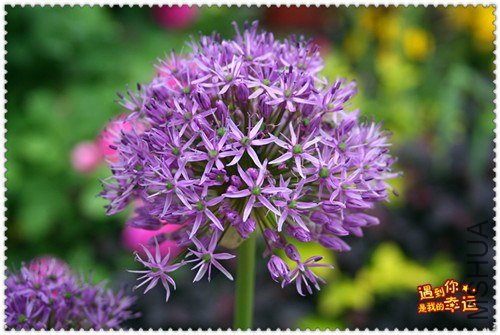 ��Ƭ 031_����.jpg