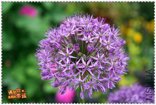 ��Ƭ 033_����.jpg