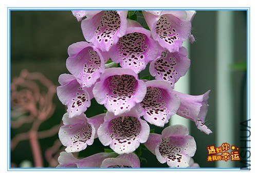 ��Ƭ 038_����.jpg