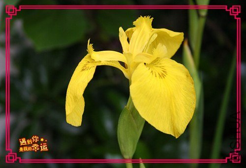 ��Ƭ 039_����.jpg