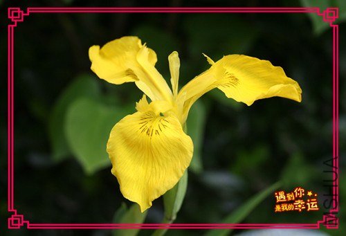 ��Ƭ 041_����.jpg