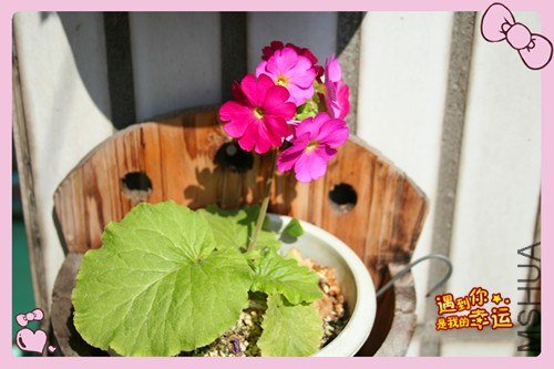 ��Ƭ 092_����.jpg