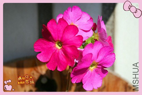 ��Ƭ 094_����.jpg