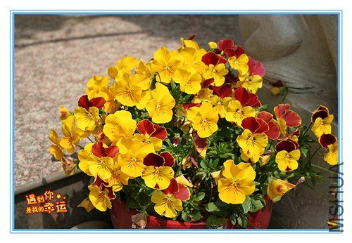 ��Ƭ 092_����.jpg