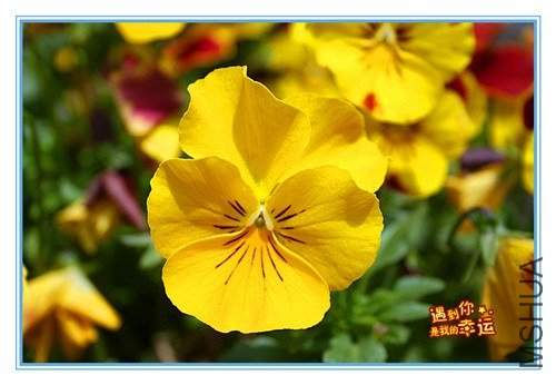 ��Ƭ 093_����.jpg