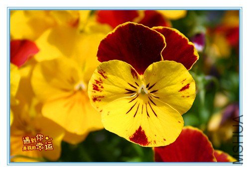 ��Ƭ 094_����.jpg