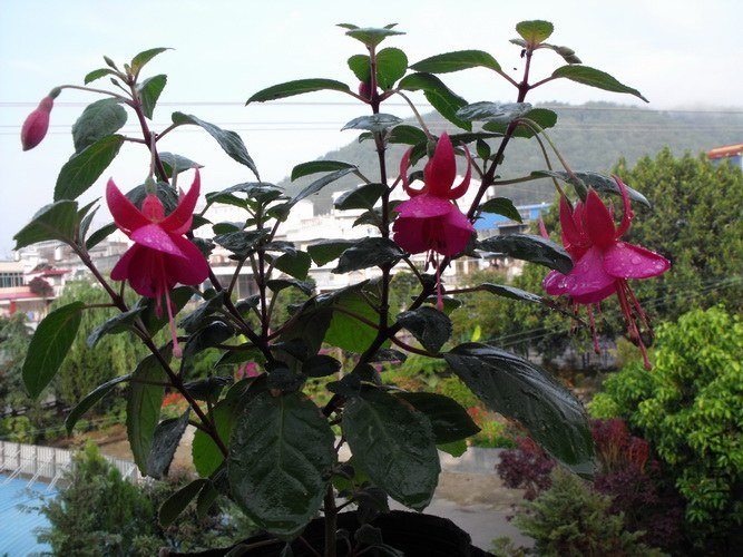 DSCF2647.JPG