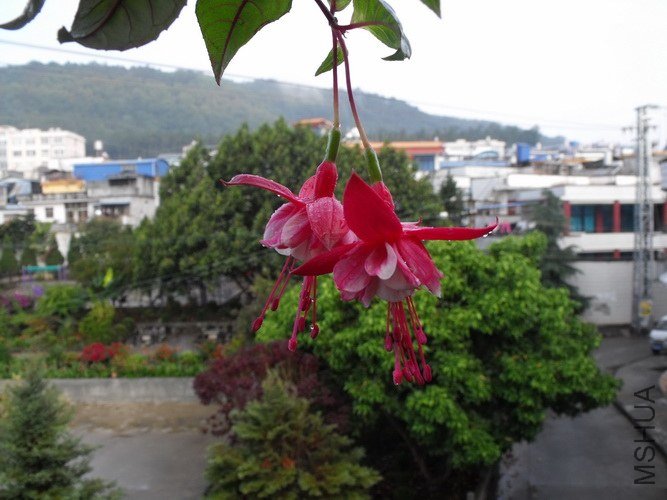 DSCF2656.JPG