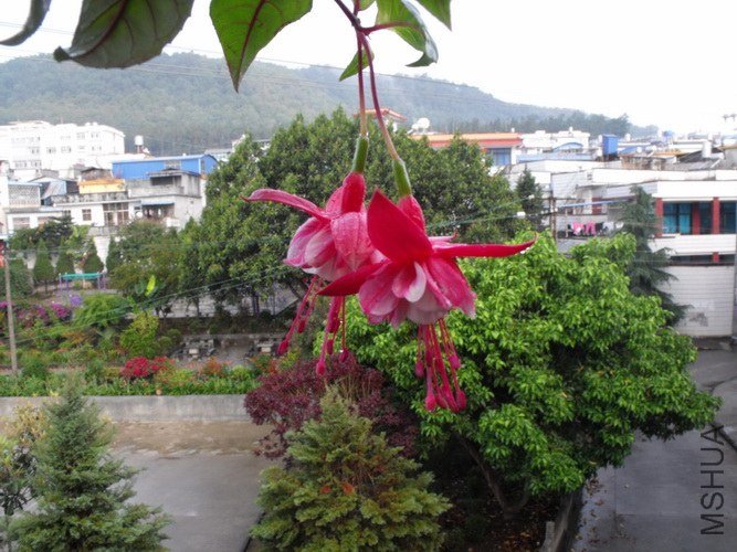 DSCF2658.JPG